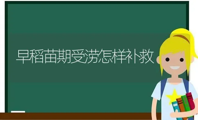 早稻苗期受涝怎样补救 | 养殖技术大全