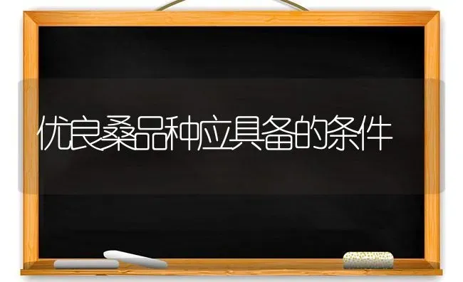 优良桑品种应具备的条件 | 养殖知识