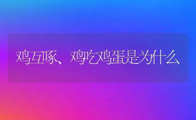 牛肺疫的治疗 | 养殖技术大全