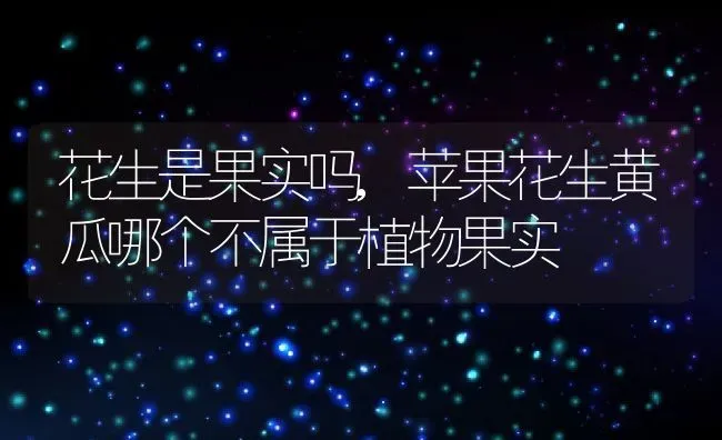 花生是果实吗,苹果花生黄瓜哪个不属于植物果实 | 养殖学堂