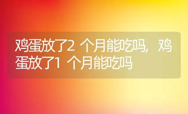 鸡蛋放了2个月能吃吗,鸡蛋放了1个月能吃吗 | 养殖科普