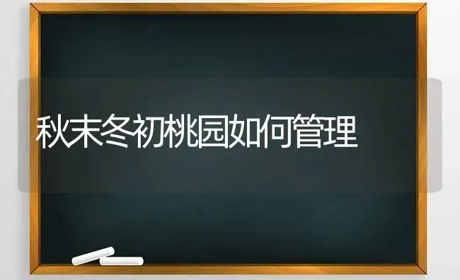 秋末冬初桃园如何管理 | 养殖技术大全