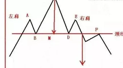 什么叫形态,生物的形态是什么？