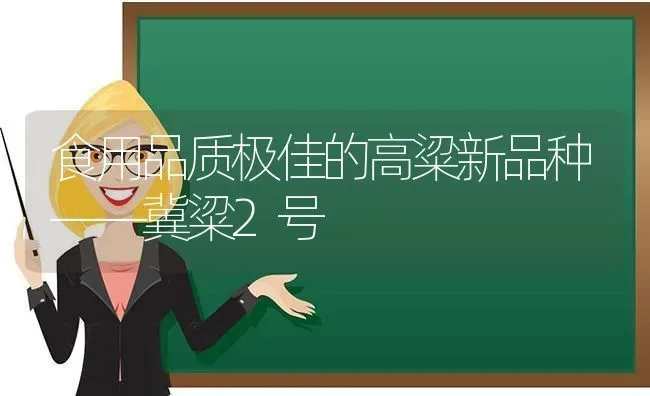 食用品质极佳的高粱新品种——冀粱2号 | 养殖技术大全