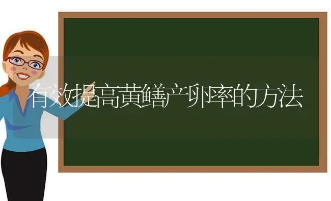 有效提高黄鳝产卵率的方法 | 养殖技术大全