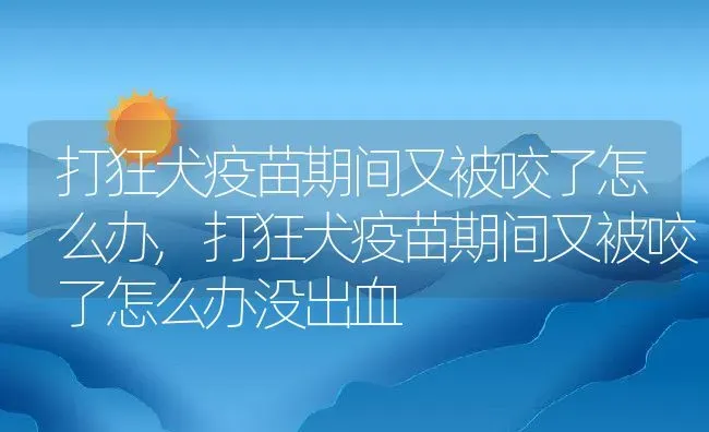 打狂犬疫苗期间又被咬了怎么办,打狂犬疫苗期间又被咬了怎么办没出血 | 养殖资料