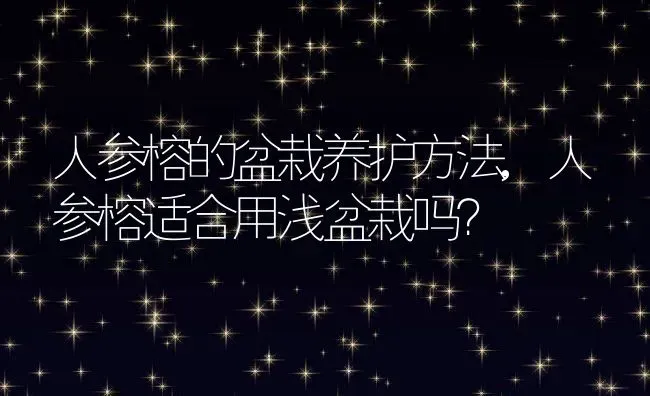 人参榕的盆栽养护方法,人参榕适合用浅盆栽吗？ | 养殖科普