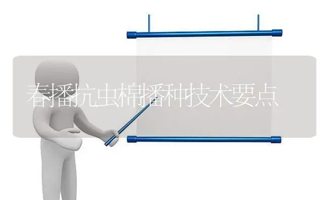 春播抗虫棉播种技术要点 | 养殖知识
