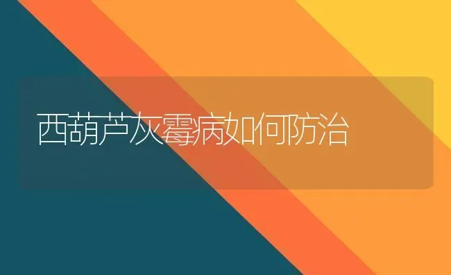 西葫芦灰霉病如何防治 | 养殖技术大全