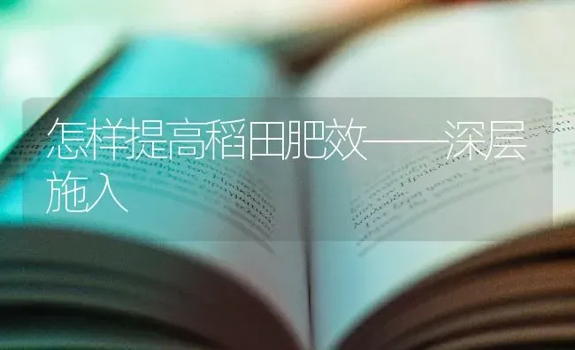 怎样提高稻田肥效——深层施入 | 养殖技术大全