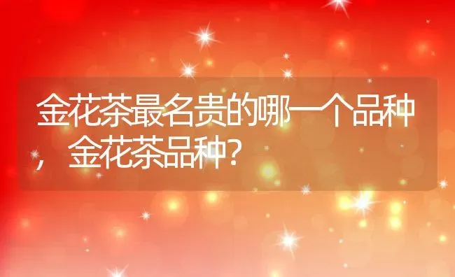金花茶最名贵的哪一个品种,金花茶品种？ | 养殖学堂