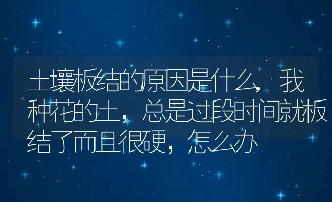 土壤板结的原因是什么,我种花的土，总是过段时间就板结了而且很硬，怎么办 | 养殖学堂