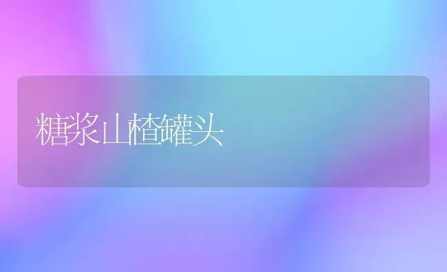 糖浆山楂罐头 | 养殖技术大全