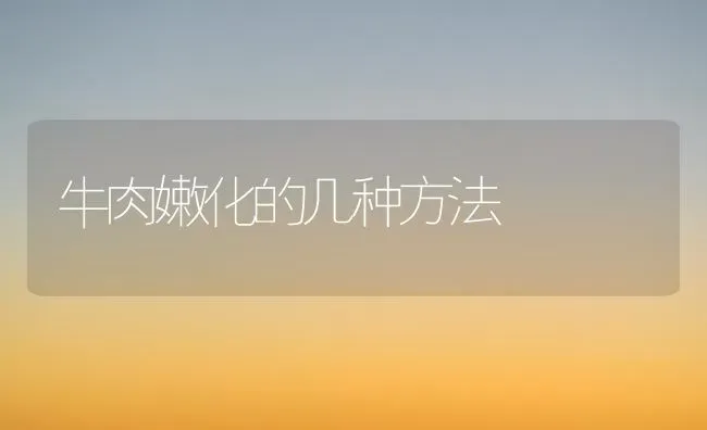 牛肉嫩化的几种方法 | 养殖技术大全