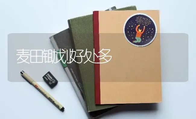 麦田锄划好处多 | 养殖技术大全
