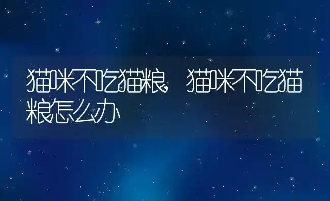 猫咪不吃猫粮,猫咪不吃猫粮怎么办 | 养殖科普