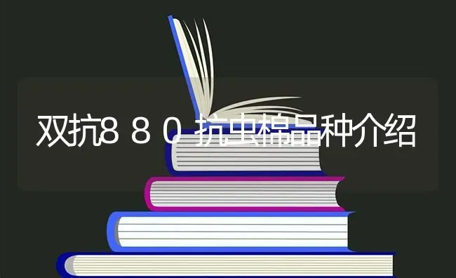 双抗880抗虫棉品种介绍 | 养殖技术大全