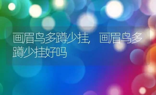 画眉鸟多蹲少挂,画眉鸟多蹲少挂好吗 | 养殖科普