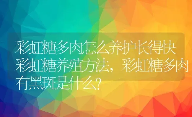 彩虹糖多肉怎么养护长得快彩虹糖养殖方法,彩虹糖多肉有黑斑是什么？ | 养殖科普