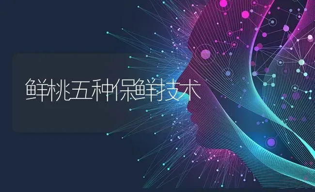 鲜桃五种保鲜技术 | 养殖技术大全