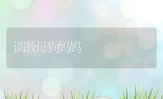 调教母狗妈妈 | 养殖科普