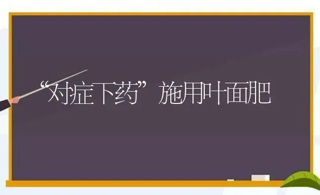 “对症下药”施用叶面肥 | 养殖技术大全