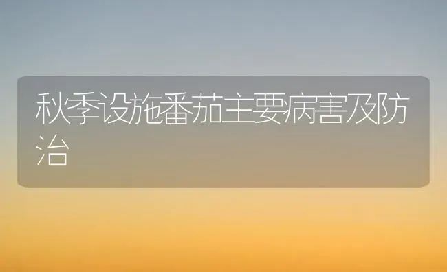 秋季设施番茄主要病害及防治 | 养殖技术大全