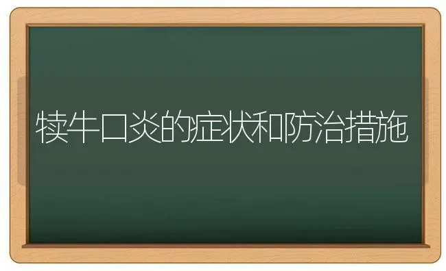 犊牛口炎的症状和防治措施 | 养殖知识