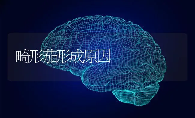 畸形茄形成原因 | 养殖知识