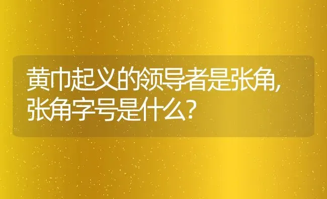 黄巾起义的领导者是张角,张角字号是什么？ | 养殖科普