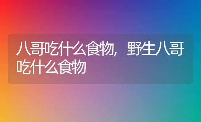 八哥吃什么食物,野生八哥吃什么食物 | 养殖资料