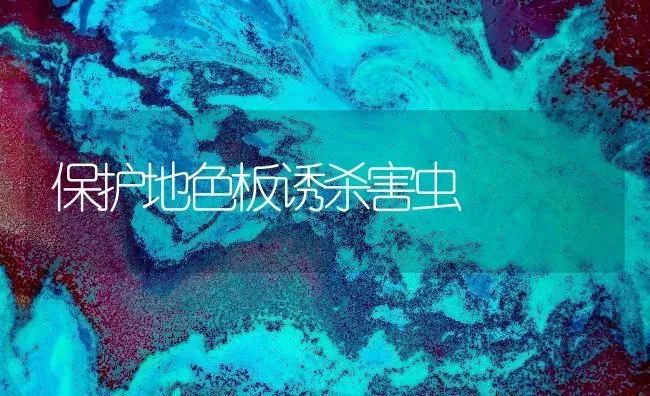 保护地色板诱杀害虫 | 养殖技术大全