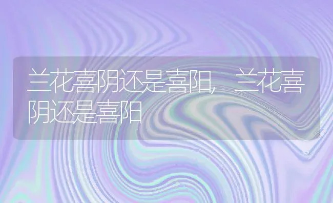 兰花喜阴还是喜阳,兰花喜阴还是喜阳 | 养殖科普