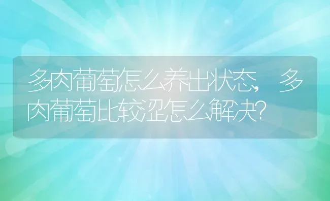 狗狗乱拉乱尿怎么训,2岁狗狗乱拉乱尿怎么训 | 养殖资料