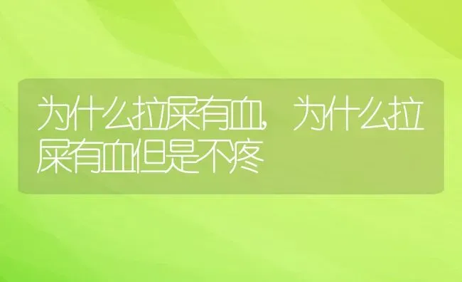 为什么拉屎有血,为什么拉屎有血但是不疼 | 养殖科普