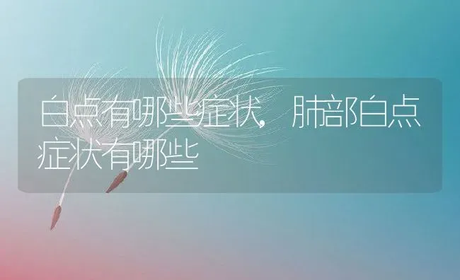 白点有哪些症状,肺部白点症状有哪些 | 养殖资料