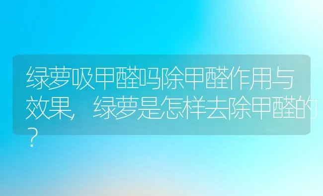 绿萝吸甲醛吗除甲醛作用与效果,绿萝是怎样去除甲醛的？ | 养殖科普