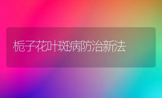 栀子花叶斑病防治新法 | 养殖知识