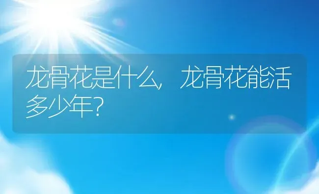 龙骨花是什么,龙骨花能活多少年？ | 养殖科普