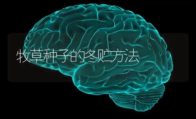 牧草种子的冬贮方法 | 养殖技术大全