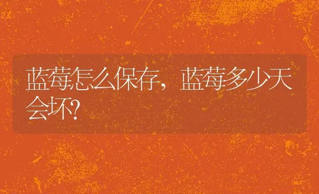 蓝莓怎么保存,蓝莓多少天会坏？ | 养殖学堂