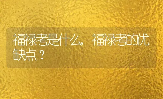 福禄考是什么,福禄考的优缺点？ | 养殖科普