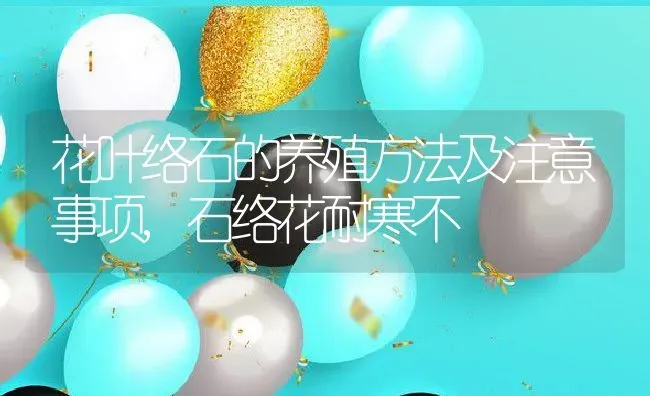 花叶络石的养殖方法及注意事项,石络花耐寒不 | 养殖学堂