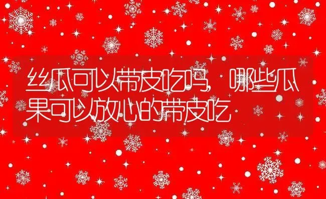 丝瓜可以带皮吃吗,哪些瓜果可以放心的带皮吃 | 养殖学堂