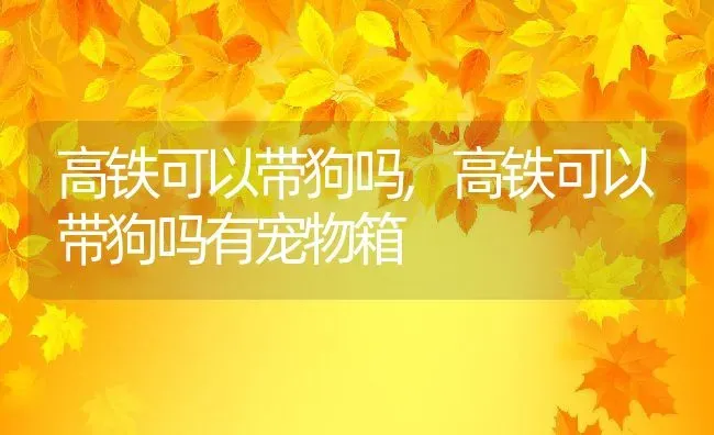 高铁可以带狗吗,高铁可以带狗吗有宠物箱 | 养殖科普