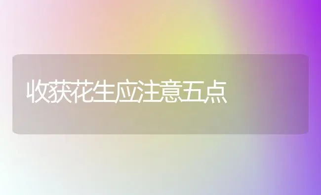 收获花生应注意五点 | 养殖知识