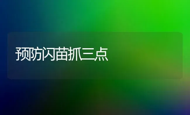 预防闪苗抓三点 | 养殖技术大全