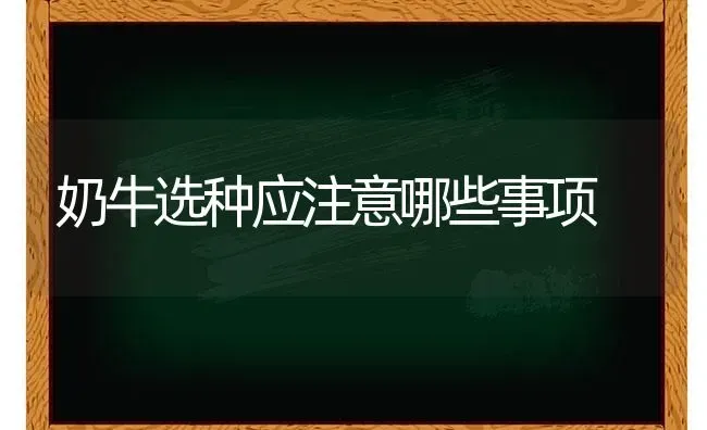 奶牛选种应注意哪些事项 | 养殖知识