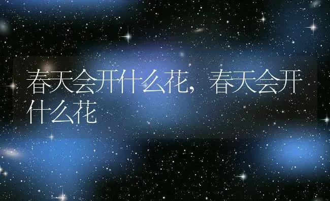 春天会开什么花,春天会开什么花 | 养殖科普