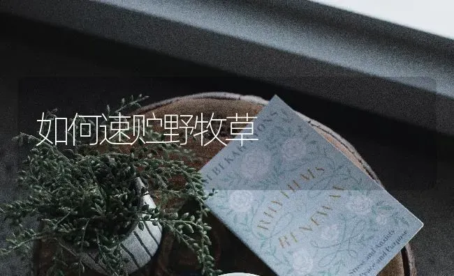 如何速贮野牧草 | 养殖技术大全